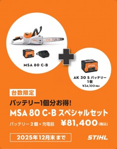 MSA80_AK+1battery_page-0001
